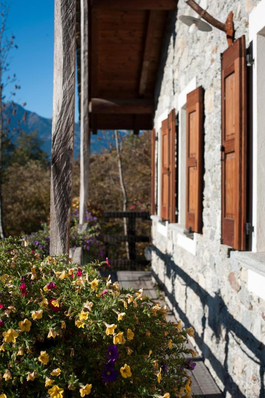 Agriturismo La Pedruscia Civo Exterior foto